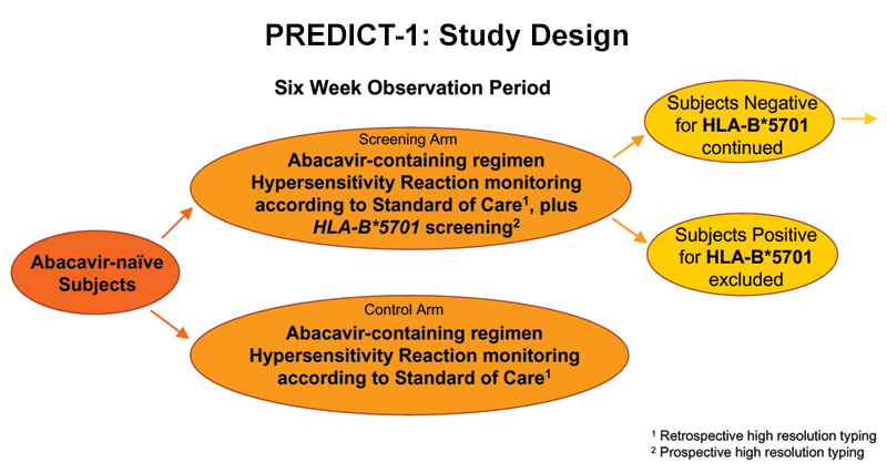 Can HLA-B*5701 Testing Help Avoid Abacavir Hypersensitivity Reaction ...